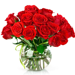 Glorious one dozen Red Roses along with a Vase to Uthagamandalam