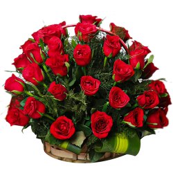 Stunning Red Roses to Cooch Behar
