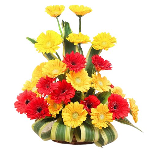 Vibrant Gerberas Arrangement to Tirur