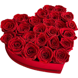 Enticing Red Rose bouquet to Gudalur (nilgiris)