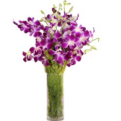 Gracefull fresh humper Orchids combined with a Vase to Irinjalakuda