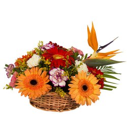 Beautiful varied arrangement of Carnations and Gerberas to Irinjalakuda