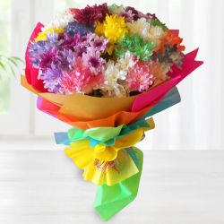 Magical Bouquet of Mixed Carnations to Irinjalakuda