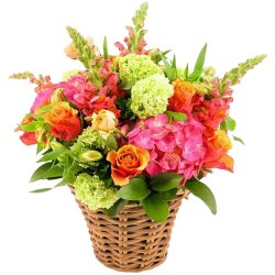 Beautiful charming fresh Flowers to Uthagamandalam