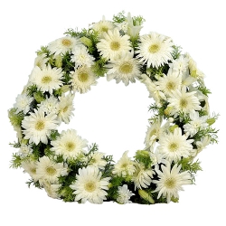 Fresh White Gerberas N Lilies Wreath to Alwaye