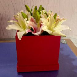 Elegant White N Pink Lilies Arrangement to Kanjikode