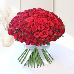 100 Blushing Red Roses Bouquet