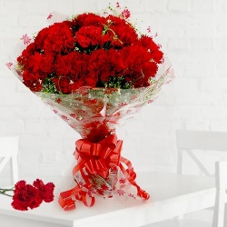 Ravishing Red Carnations  to Muvattupuzha