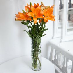 Resplendent Lilies in a Vase to Uthagamandalam