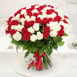 Vivid Magnificence Red  N  White Roses Premium Bouquet to Palani