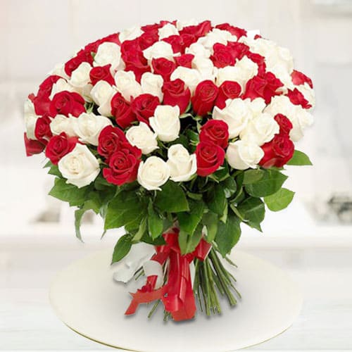 Vivid Magnificence Red  N  White Roses Premium Bou... to Tirur