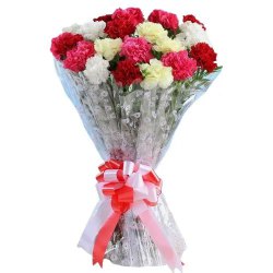 10 Mixed Carnations Tissue Wrapped Bouquet to Muvattupuzha