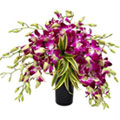 Gorgeous Orchids Display in Glass Vase to Marmagao