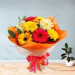 Sprouting Magnetism Gerberas Bouquet to Cooch Behar