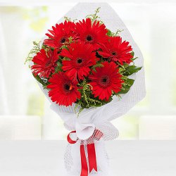 Bustling Beauty Red Gerberas Bouquet to Muvattupuzha