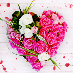 Wonderful Heart of 36 pcs Pink N White Roses to Muvattupuzha