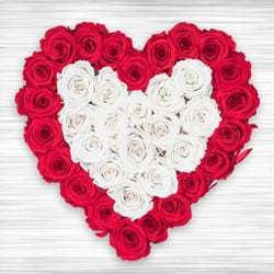 Fantastic Heart Shaped Arrangement of Red n White Roses to Uthagamandalam