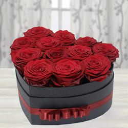 Amusing Love Box of Dutch Roses to Muvattupuzha