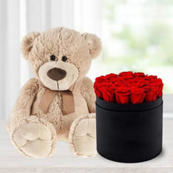 Exquisite Red Roses in Black Hat Box with Cute Teddy to Uthagamandalam