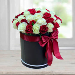 Luxury Barrel Box of Red n White Roses to Uthagamandalam
