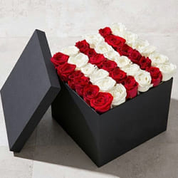 Attractive Square Box of Red n White Roses to Kanyakumari