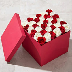 Luxurious Red Box of Red n White Roses to Uthagamandalam