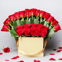Premium Box Arrangement of Red Roses with Teddy n Chocolate to Uthagamandalam
