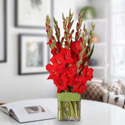 Mesmerizing Red Gladiolus in a Glass Vase to Irinjalakuda