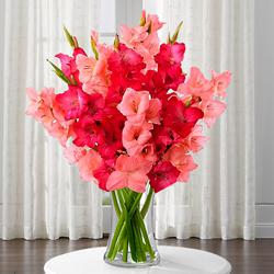 Delicate Pinkish Delight Gladiolus in a Glass Vase to Cooch Behar