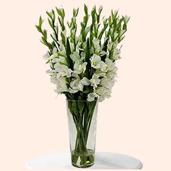 Mesmerizing White Gladiolus in a Glass Vase to Muvattupuzha