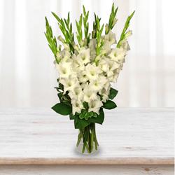 Artistic Display of White Gladiolus in a Glass Vase to Uthagamandalam