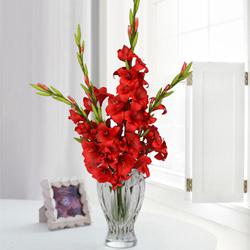 Outstanding Red Gladiolus Arrangement in Glass Flower Vase to Gudalur (nilgiris)
