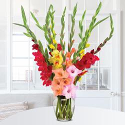 Breathtaking Mixed Color Gladiolus in Glass Vase to Uthagamandalam