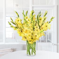 Amazing Yellow Gladiolus in a Glass Vase to Palani