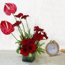 Marvelous Arrangement of Red Gerbera n Anthurium in Glass Vase to Kanyakumari