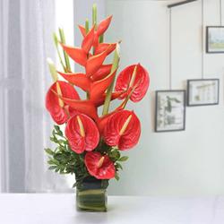 Amusing Red Anthurium with BOP Arrangement in a Glass Vase to Palani