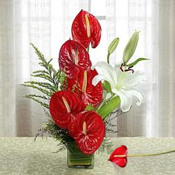 Exotic Anthurium n Lilies in a Glass Vase to Kanyakumari