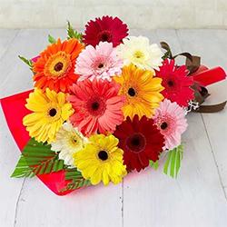 Exotic Bunch of Mixed Gerberas
 to Sivaganga