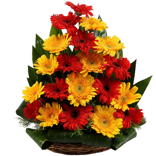 Exquisite Red & Yellow Gerberas Bouquet
 to Tirur