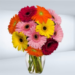 Artistic Presentation of Mixed Gerberas in a Glass Vase
 to Marmagao