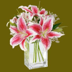 Mesmerizing Glass Vase display of Pink Lilies
 to Nipani