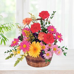Luxurious  Basket Presentation of Gerberas with Carnations to Marmagao