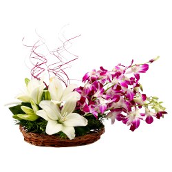 Artistic Basket Arrangement of Orchids with White Lilies to Alwaye