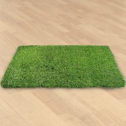 Amazing Home Rectangular Artificial Polyester Grass Doormat to Cooch Behar
