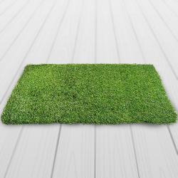 Magnificent Handtex Home Rectangular Artificial Polyester Grass Doormat to Kollam