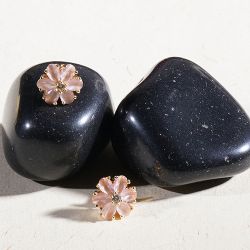 Floral Essence Peach Studs to Balasore