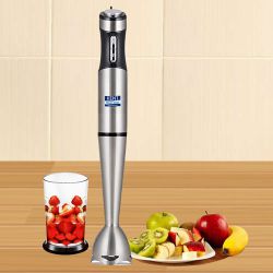 Fancy KENT Stainless Steel Hand Blender to India