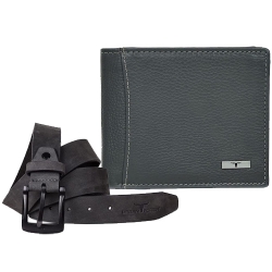 Astonishing Grey Leather Wallet N Belt Combo for Men to India