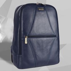 Sleek Leather Laptop Backpack