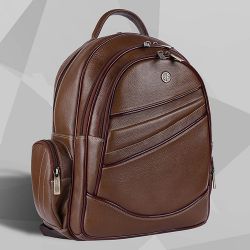 Amazing Leather Laptop Backpack